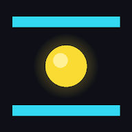 Icône de l'application Gravity Flip